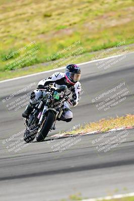 media/Apr-13-2024-Classic Track Day (Sat) [[9dd147332a]]/Group 3/Session 3 (Turn 3)/